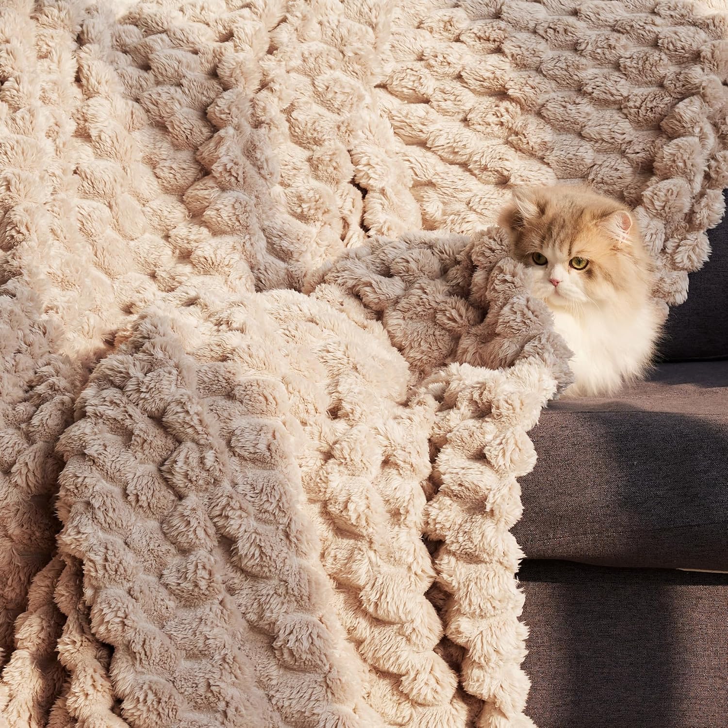 Twin Size Blanket for Bed with Jacquard Pattern - Image 2